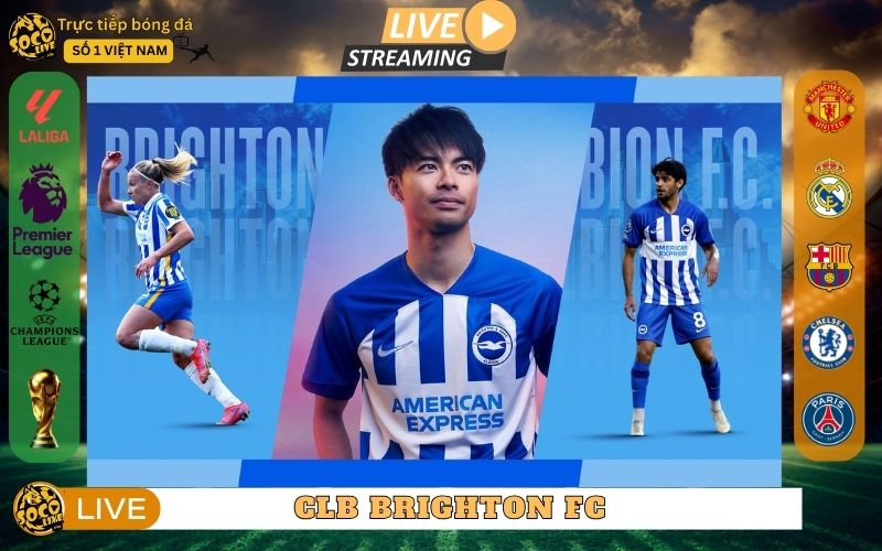 CLB Brighton – Su Troi Day Cua “Chim Mong Bien” Tai EPL