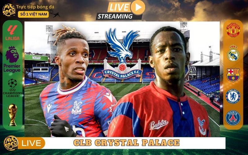 CLB Crystal Palace - Bản Sắc Nam London Tại Premier League