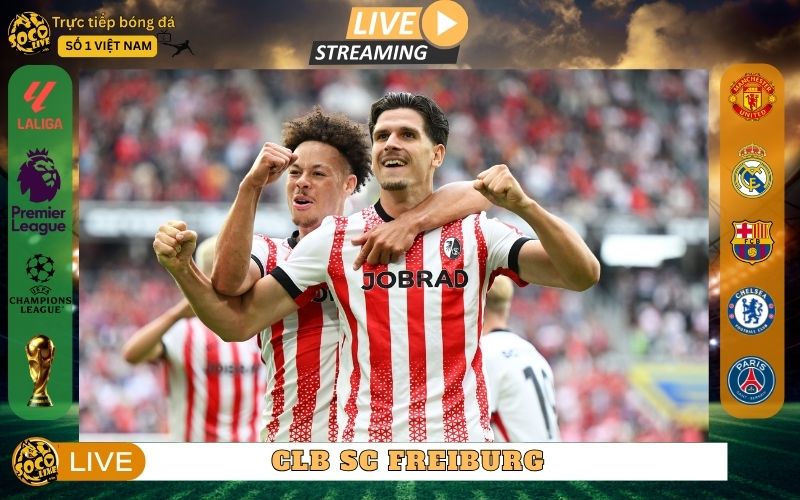 CLB SC Freiburg – Hành Trình Bền Bỉ Của “Chú Ngựa Ô”