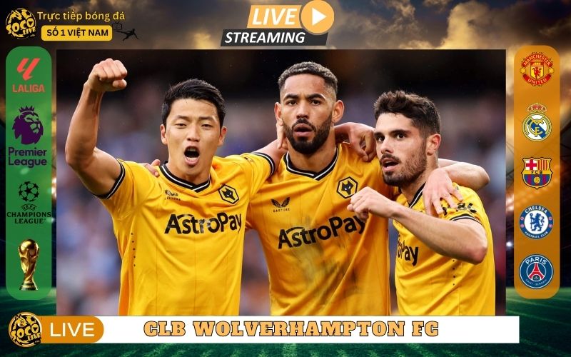 CLB Wolverhampton Wanderers FC - Bản Sắc Mới Trong Kỷ Nguyên EPL