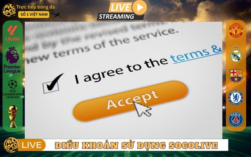 Điều khoản chung tại Socolive.vin