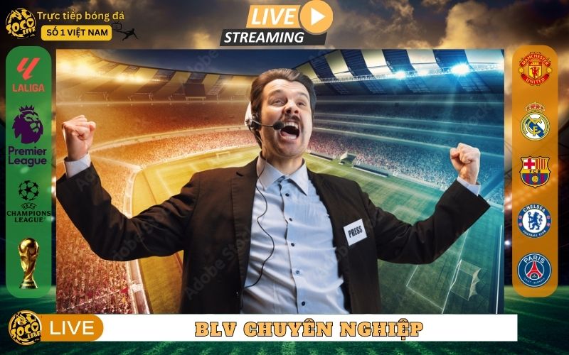 Đội ngũ bình luận viên & nhân sự chuyên nghiệp